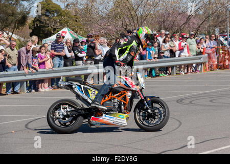 VICTORIA/Australien - SEPTEMBER 2015: Motorrad Stuntfahrer erklingt in einer lokalen Autoshow auf den 13. September 2015 in Corowa. Stockfoto