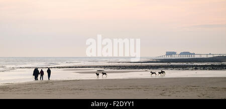 Am frühen Morgen Übung für die Hunde am Strand. Stockfoto