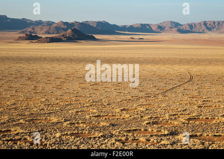 Grass Wüstenebene am Rande der Namib-Wüste, Feenkreise, kreisförmige Flecken ohne irgendeine Vegetation bedeckt, Stockfoto