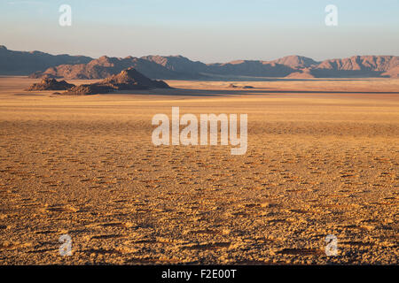 Grass Wüstenebene am Rande der Namib-Wüste, Feenkreise, kreisförmige Flecken ohne irgendeine Vegetation bedeckt, Stockfoto