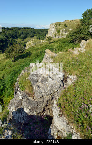 Cheddar Gorge, Mendip Hügel, Somerset Süd Seite Klippen von oben Stockfoto