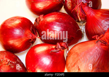 Rote Zwiebeln / rote Zwiebeln - Symbolbild Nahrungsmittel. Stockfoto