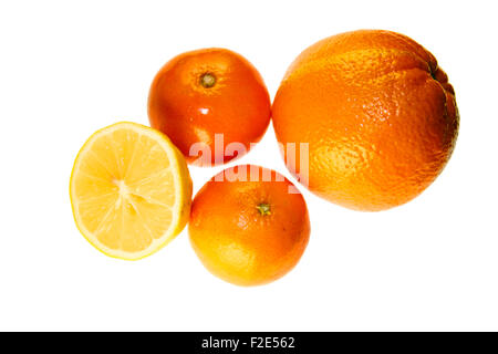 Suedfruechte: Zitrone, Mandarine, Clementine, Orange - Symbolbild Nahrungsmittel. Stockfoto