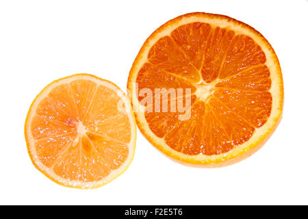 Suedfruechte: Zitrone, Mandarine, Clementine, Orange - Symbolbild Nahrungsmittel. Stockfoto