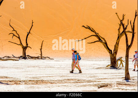 Menschen zu Fuß durch das Deadvlei Pan und seine berühmten Kameldornbäume in Sossusvlei Namibia, Afrika. Stockfoto