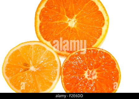 Suedfruechte: Zitrone, Mandarine, Clementine, Orange - Symbolbild Nahrungsmittel. Stockfoto