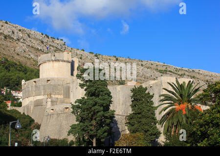 Mauern von Dubrovnik mit Blick auf Minčeta Tower, Kroatien Stockfoto