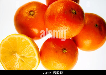 Suedfruechte: Zitrone, Mandarine, Clementine, Orange - Symbolbild Nahrungsmittel. Stockfoto