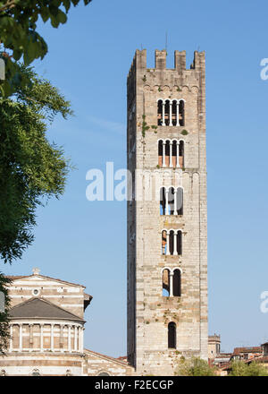 Der Kirchturm von San Frediano in Lucca, Toskana, Italien. Stockfoto