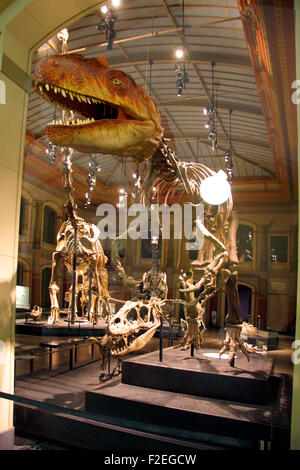 Dinosaurier-Skelette: Tyrannus Saurus Rex - veranstalten Im Naturhistorischen Museum, Berlin-Mitte. Stockfoto