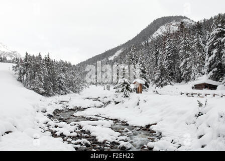 Eine alpine Stream, in den Schweizerischen Nationalpark Stockfoto