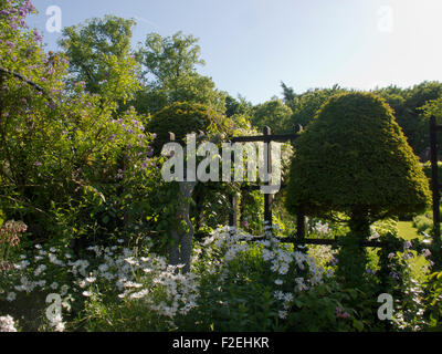 Statue erreichen Sie durch süße Rakete in einer Ecke des Gartens Chenies Manor an sonnigen Nachmittag im Juni mit Spalier und Formschnitt Stockfoto