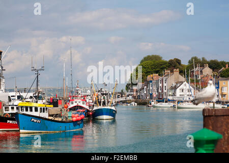 Im Juni legten Boote am Hafen von Weymouth, am Weymouth Quay in Weymouth, Dorset UK, an Stockfoto