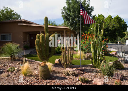 Las Vegas, Nevada, USA. 27. August 2015. Kakteen wachsen in einem Vorgarten in Las Vegas, Nevada, USA, 27. August 2015. Trockenste Stadt Amerikas ist 14 Jahre in einer historischen Dürre, selbst als seine Bevölkerung fortfährt zu wachsen, dehnen Wasservorräte, die von Anfang an eng wurden. Foto: Marcus Teply/Dpa/Alamy Live News Stockfoto