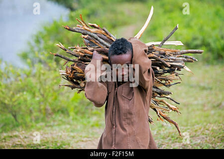 Porträt des madagassischen Kind tragen Bündel Brennholz auf seinen Rücken, Vatovavy-Fitovinany, Madagaskar, südöstlichen Afrika hautnah Stockfoto
