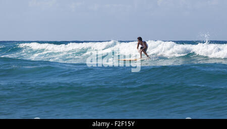 Surfer auf Longboard reitet eine schöne blaue Welle im Meer. Stockfoto