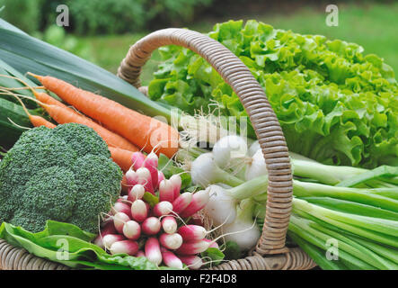 frisches Gemüse im Weidenkorb Stockfoto