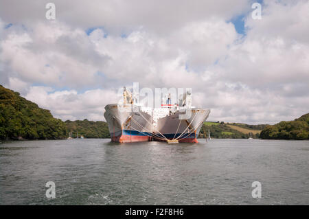 2 große Reefer Schiffe Sommer Wiese und Sommerblume gelegt bis auf The River Fal Cornwall England UK Stockfoto