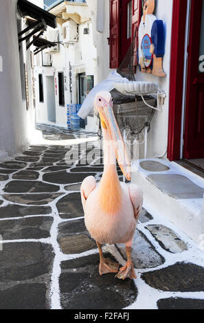 Petros der Pelikan, Maskottchen von Mykonos, Spaziergänge Stadtzentrum Stockfoto