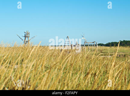 Weißes Meer. Russland, Gebiet Archangelsk. Stockfoto