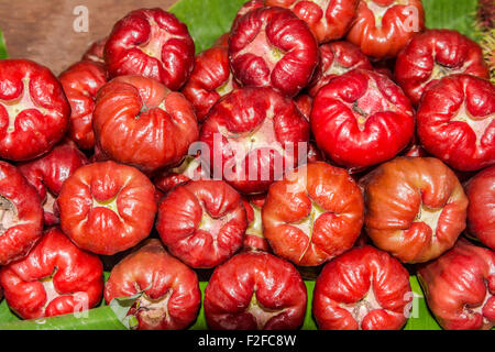 Rosenapfel, Chom-Poo, exotische Früchte aus Thailand, Asien Stockfoto
