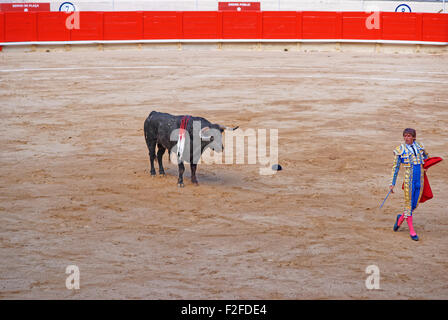 BARCELONA, Spanien - 1. August 2010: Bull Augen der Torero nachdenklich vor einem Angriff während eines Bullfighing in Barcelona Stockfoto