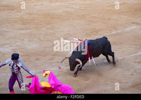 BARCELONA, Spanien - 1. August 2010: Rückzug Torero (Stierkämpfer) beim Stierkampf in der Arena La Monumental auf August 2010 in Stockfoto