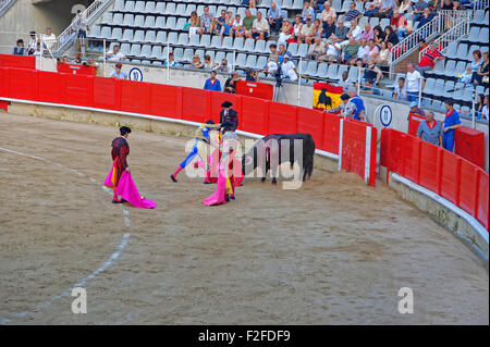 BARCELONA, Spanien - 01. AUGUST, 20120: Torero (Stierkämpfer) greift den Stier beim Stierkampf in Barcelona. Die Plaza-Weg Stockfoto