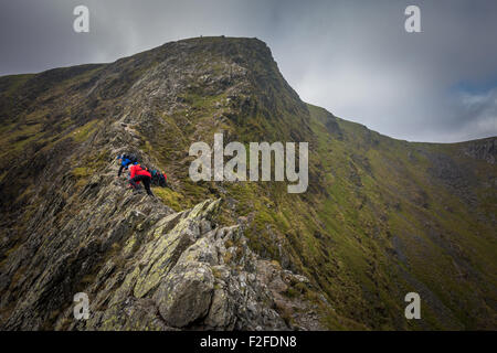 Männer Sozialisieren - Menschen, die Kriechen, die scharfe Kante, ein Grad 1 jagt den Gipfel des Blencathra Berg im englischen Lake District, England zu erreichen. Stockfoto