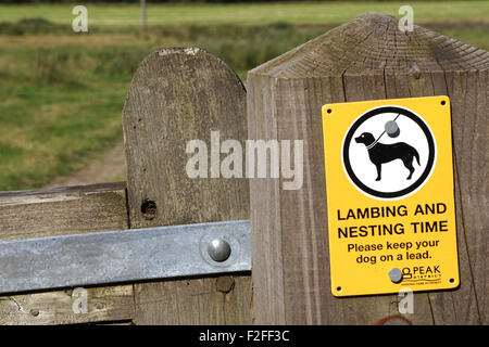 Ein Schild auf einen Fußweg Säule Lämmer nisten und diesmal bitte sagen halten Sie Ihren Hund an der Leine PEAK DISTRICT, Derbyshire, England Stockfoto