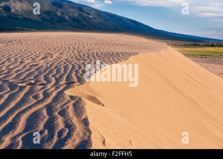 Abends Blick auf Wind weht über eine Sanddüne an der Great Sand Dunes National Park, Colorado, USA Stockfoto