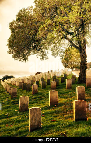 Grabstein auf dem Friedhof San Francisco National Cemetery, Presidio, San Francisco, Kalifornien, USA Stockfoto