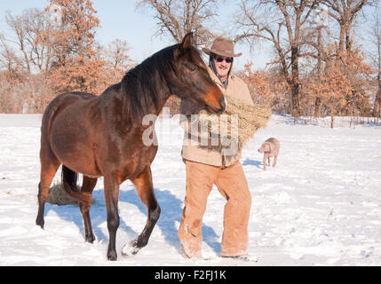 Mann gekleidet in warme Kleidung Außerbetriebnahme Heu für Pferde an einem kalten verschneiten Wintertag Stockfoto