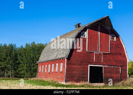 Rote hölzerne Scheune in einem Feld in der Nähe der Stadt Leduc in Alberta Stockfoto