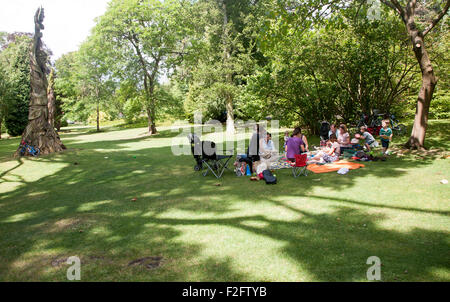 Menschen mit Picknick im Botanischen Garten in Bath, Somerset, Nordostengland, Großbritannien Stockfoto