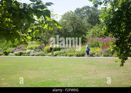 Menschen, die genießen Sommer blühen Grenzen im Botanischen Garten in Bath, Somerset, Nordostengland, Großbritannien Stockfoto