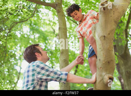Vater helfen Sohn Kletterbaum Stockfoto