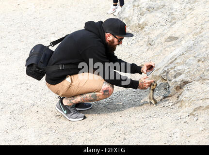 Ein Mann männlich Tourist ein Foto eines Streifenhörnchen oder Erdhörnchen mit seinem Handy Stockfoto