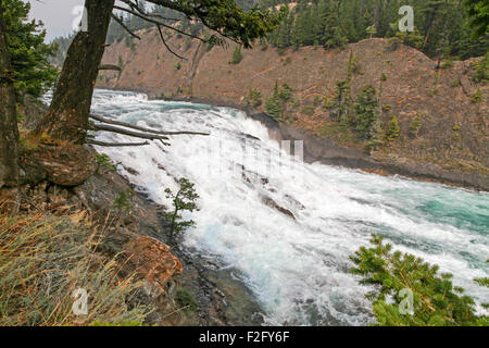 Die Bow Falls am Bow River im Banff, Alberta, Kanada Stockfoto