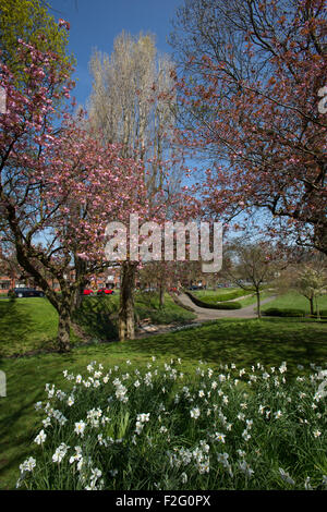 Dorf Port Sunlight, England. malerische Frühling Blick in's Port Sunlight dell, mit Badewanne Straße im Hintergrund. Stockfoto