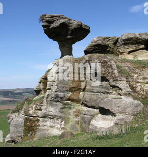 Bunnet-Stein Schottland April 2015 Stockfoto