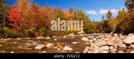 Multi-Coloured Herbstlaub entlang eines Flusses. Fotografiert am Swift River, White Mountain National Forest in New Hampshire, USA Stockfoto