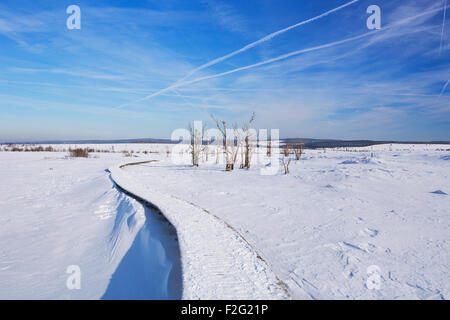 Ein Holzsteg durch die Winterlandschaft des Hautes Fagnes (Hoge Venena, Hohes Venn, hohe Venn) im Osten Belgiens. Photog Stockfoto