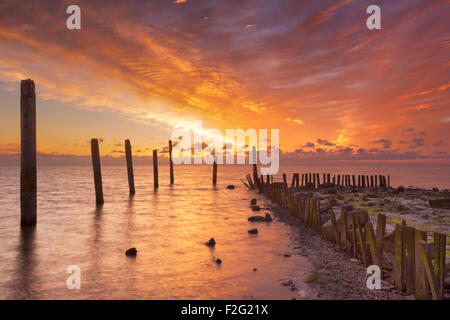 Farben der spektakulären Sonnenaufgang über dem Meer auf der Insel Texel in den Niederlanden. Stockfoto