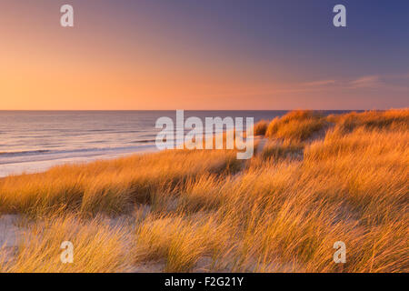 Hohe Dünen mit Dünengras und einem breiten Strand unten. Fotografiert bei Sonnenuntergang auf der Insel Texel in den Niederlanden. Stockfoto