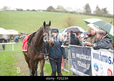 Zara Phillips führt ihr Pferd in einem Punkt-zu-Punkt-Rennen auf Eyton auf Severn Shropshire Stockfoto