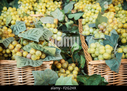 Mischung aus verschiedenen Trauben in Weidenkörben. Ernten Thema. Marktplatz. Stockfoto