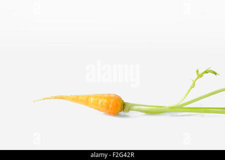 Frische baby-Karotten isoliert auf weißem Hintergrund Stockfoto