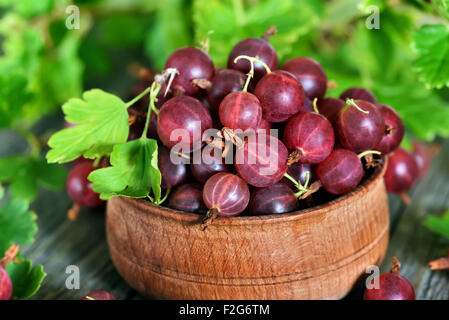 Reife rote Stachelbeeren in Holzschale, Nahaufnahme Stockfoto