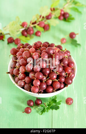 Rote Stachelbeeren in weiße Schüssel am grünen Tisch aus Holz Stockfoto